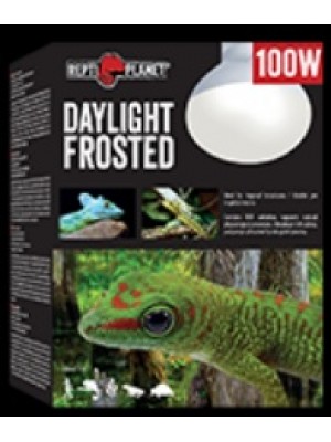 REPTI PLANET Daylight FROSTED lempa, 100 W 